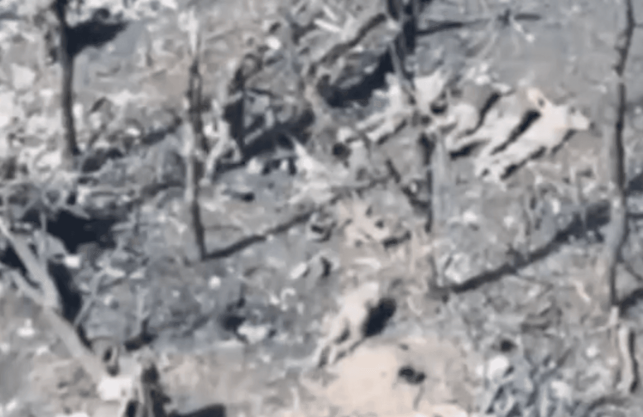 Russian military reportedly executes 5 Ukrainian POWs