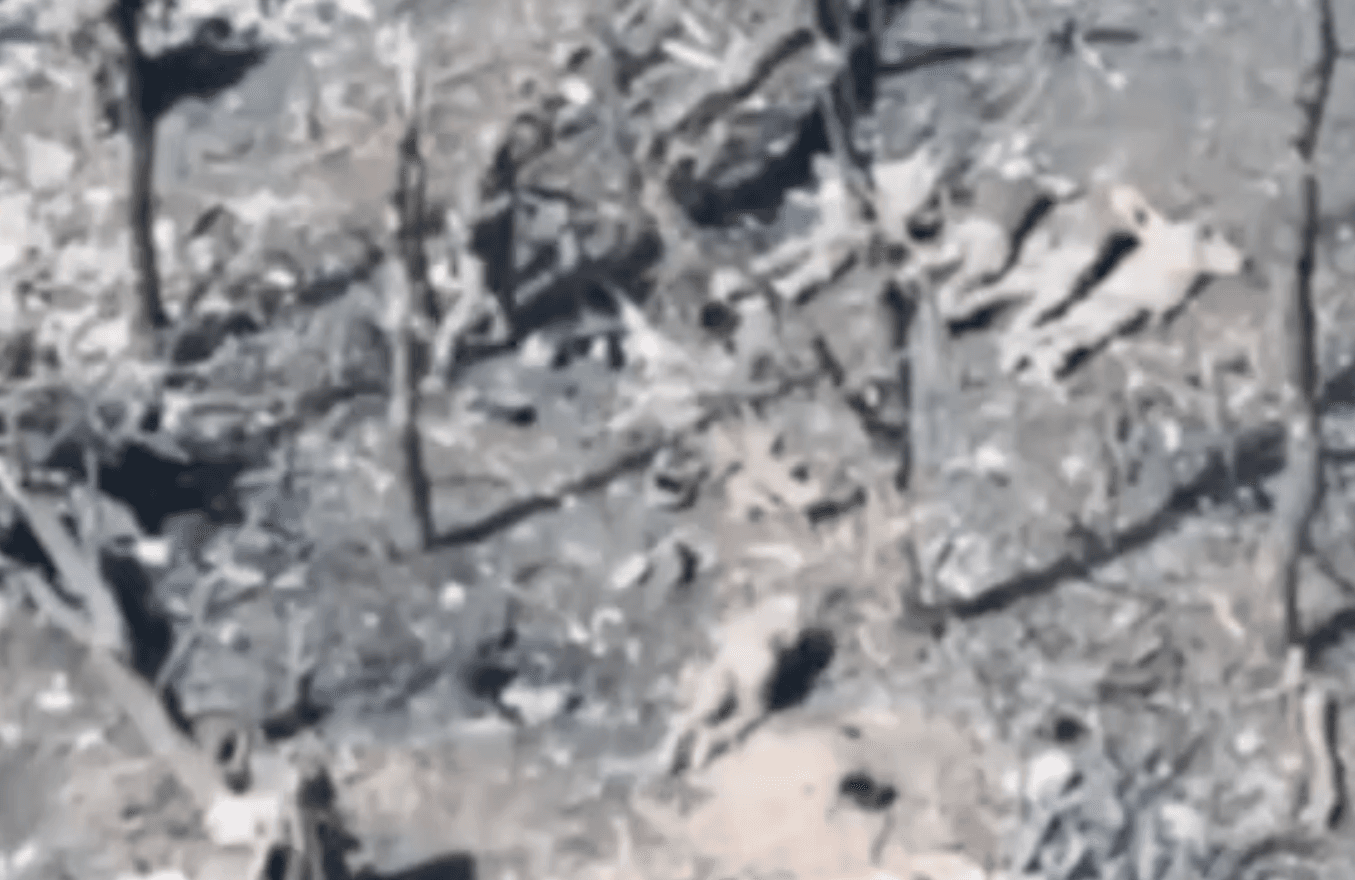 Russian military reportedly executes 5 Ukrainian POWs