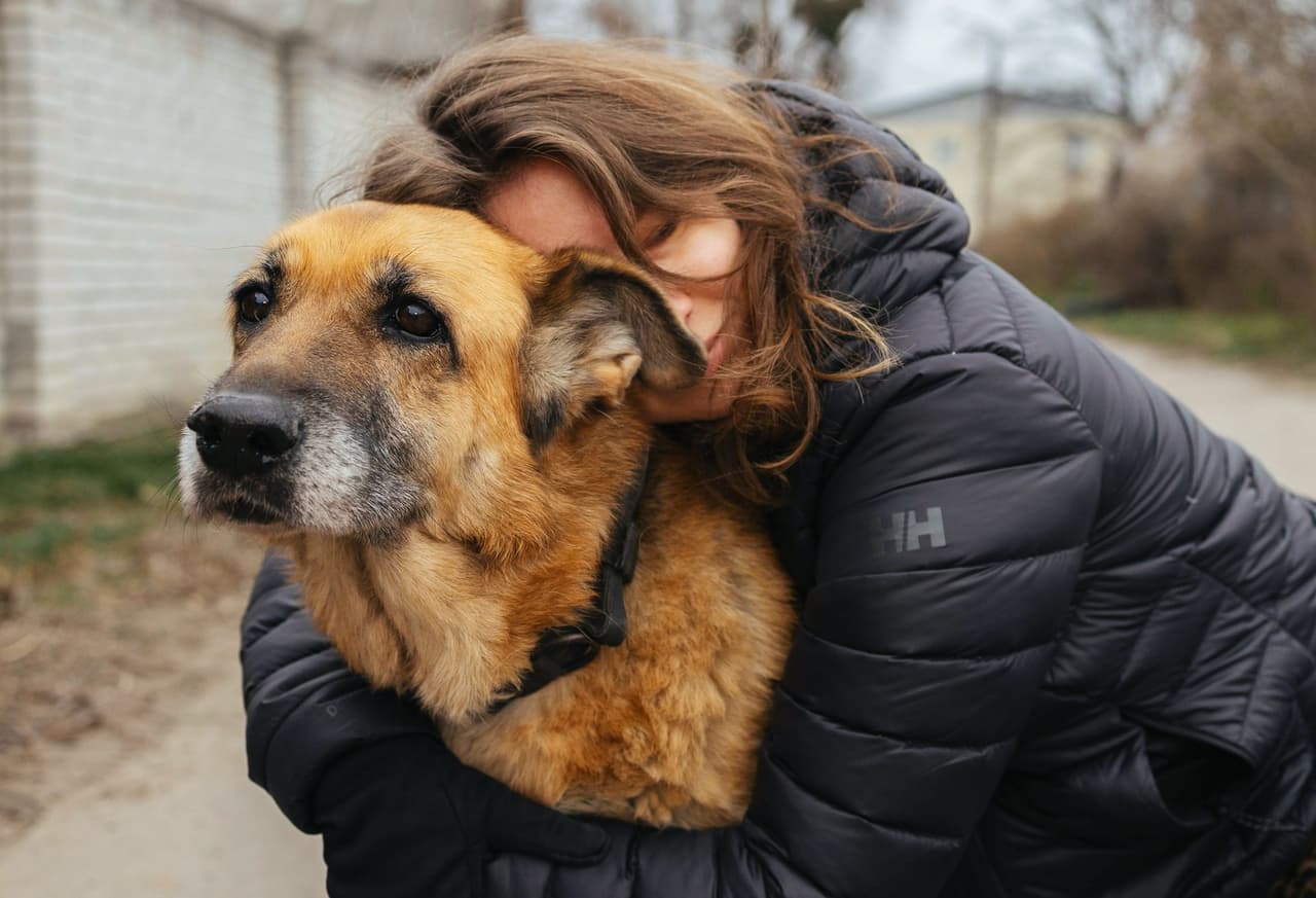 ‘They don't know it's the sound of war’ — How Ukraine's pets react to sirens and explosions