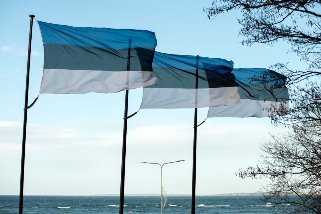Estonia says risk of detaining Russian shadow fleet vessels 'too high'