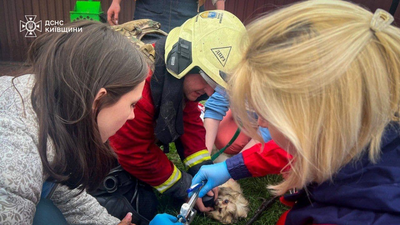 Over 400 Russian drones detected in Ukraine's airspace during mass attack, at least 3 killed, 32 injured