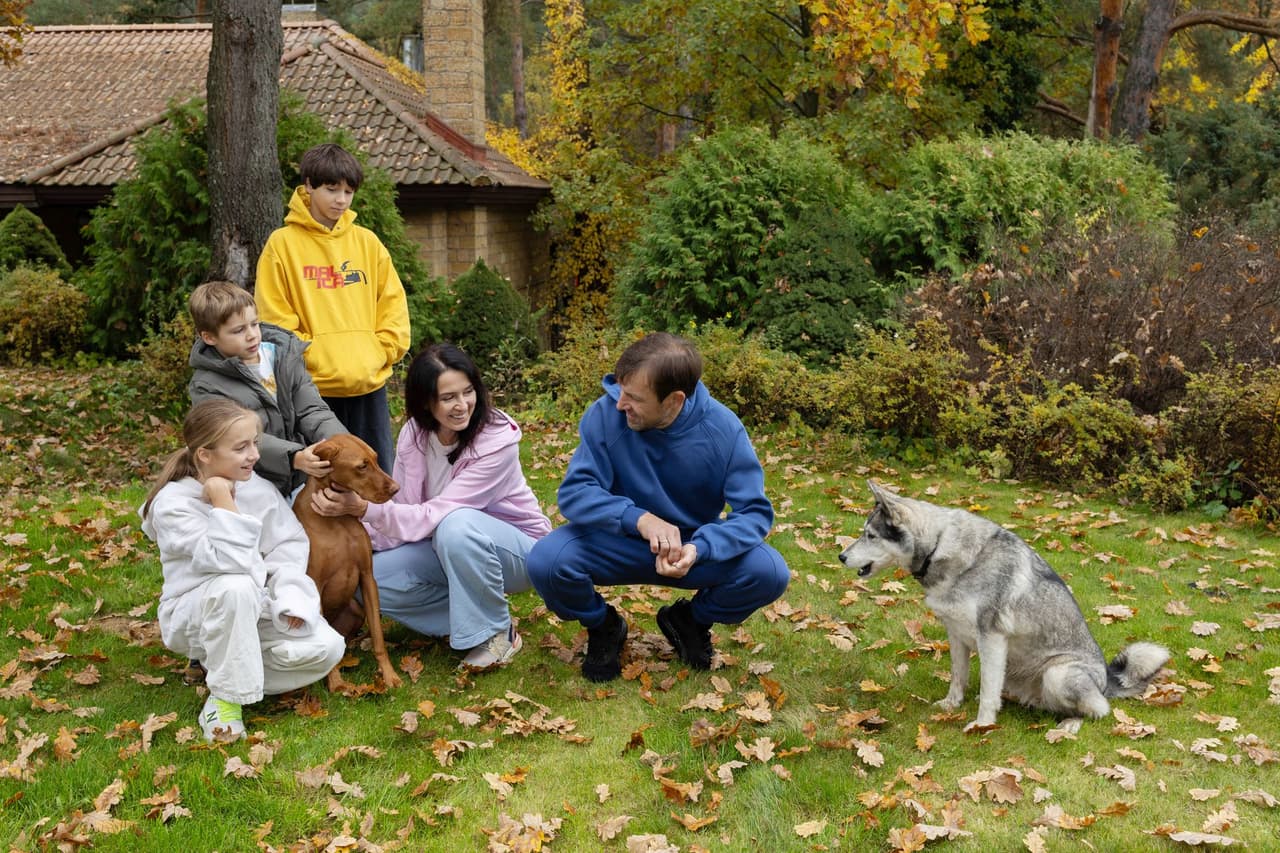 'Finding Home' — Giving Ukraine's war-rescued animals a second chance at life