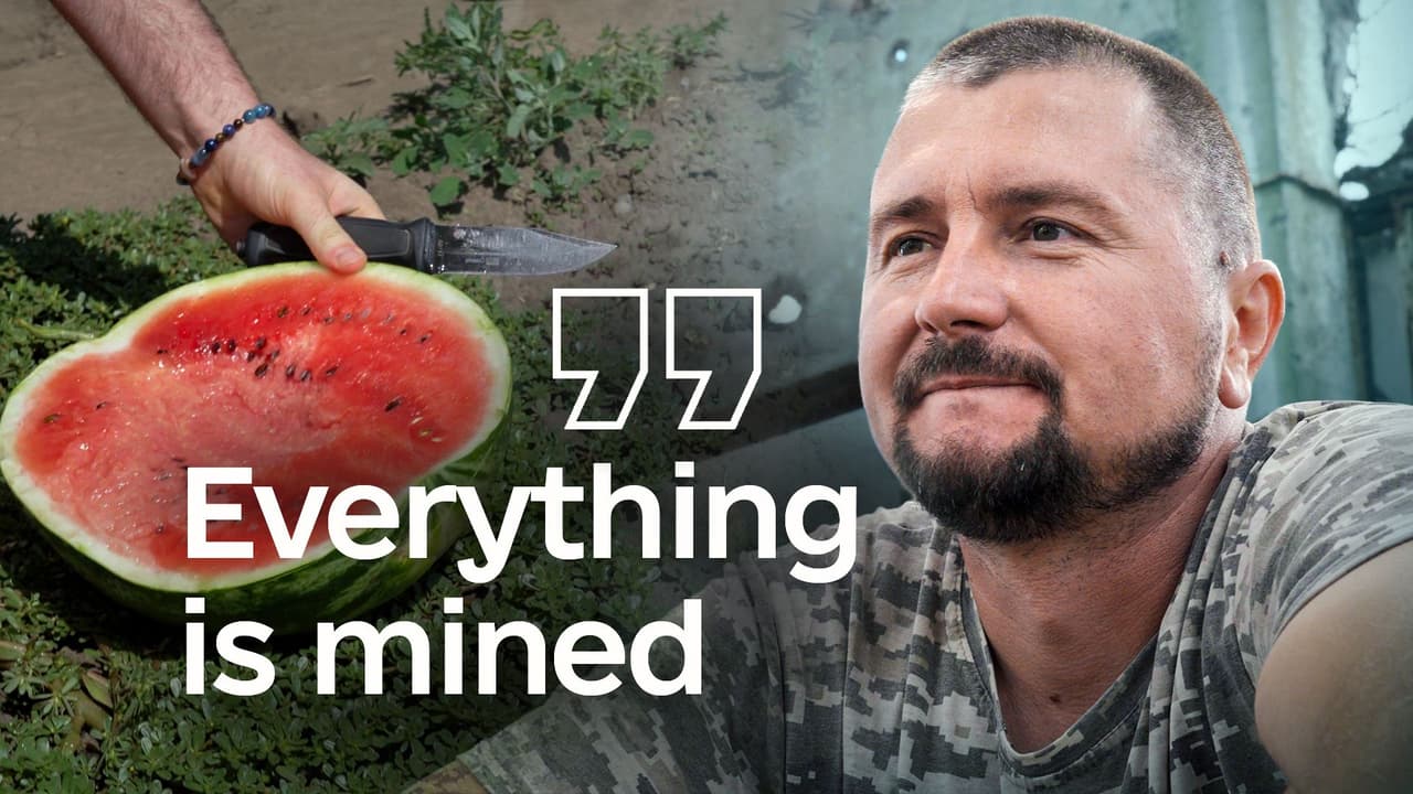 How Ukrainian farmers grow watermelons near the front line