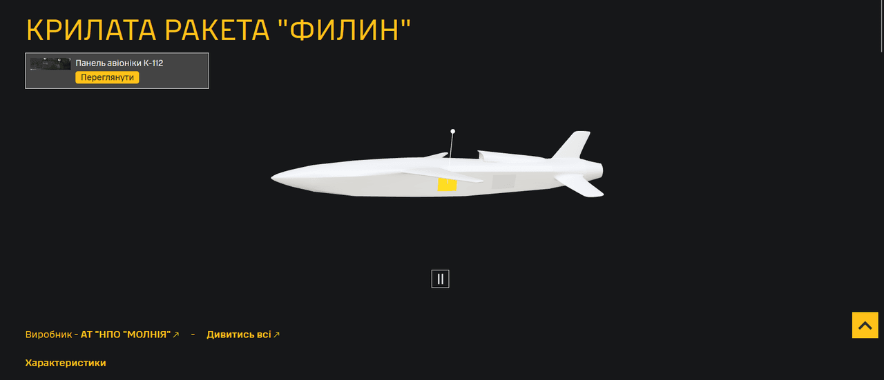 Ukrainian military intelligence reveals new Russian cruise missile 'Filin'