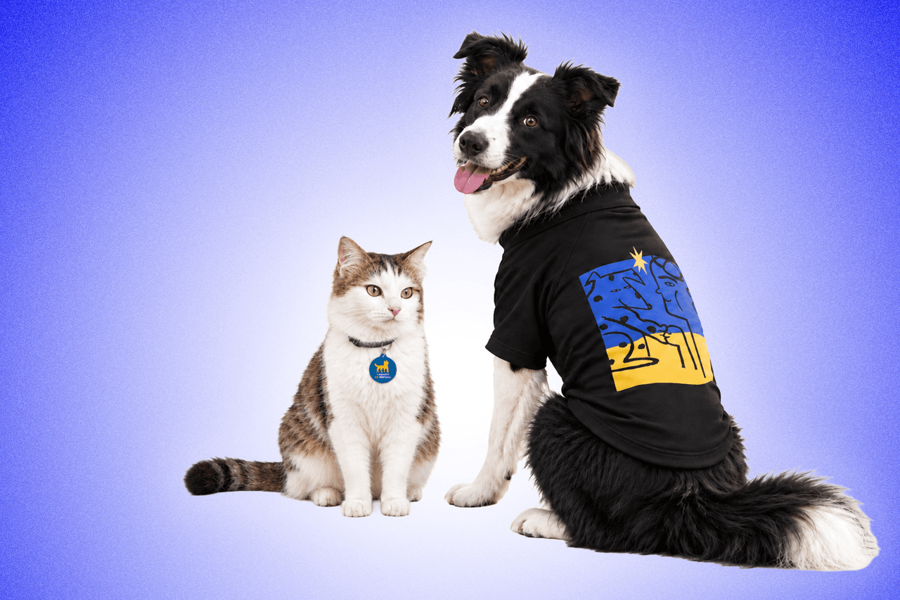 Kyiv Independent launches the Companion Collection 🐾 to support front-line animal rescue