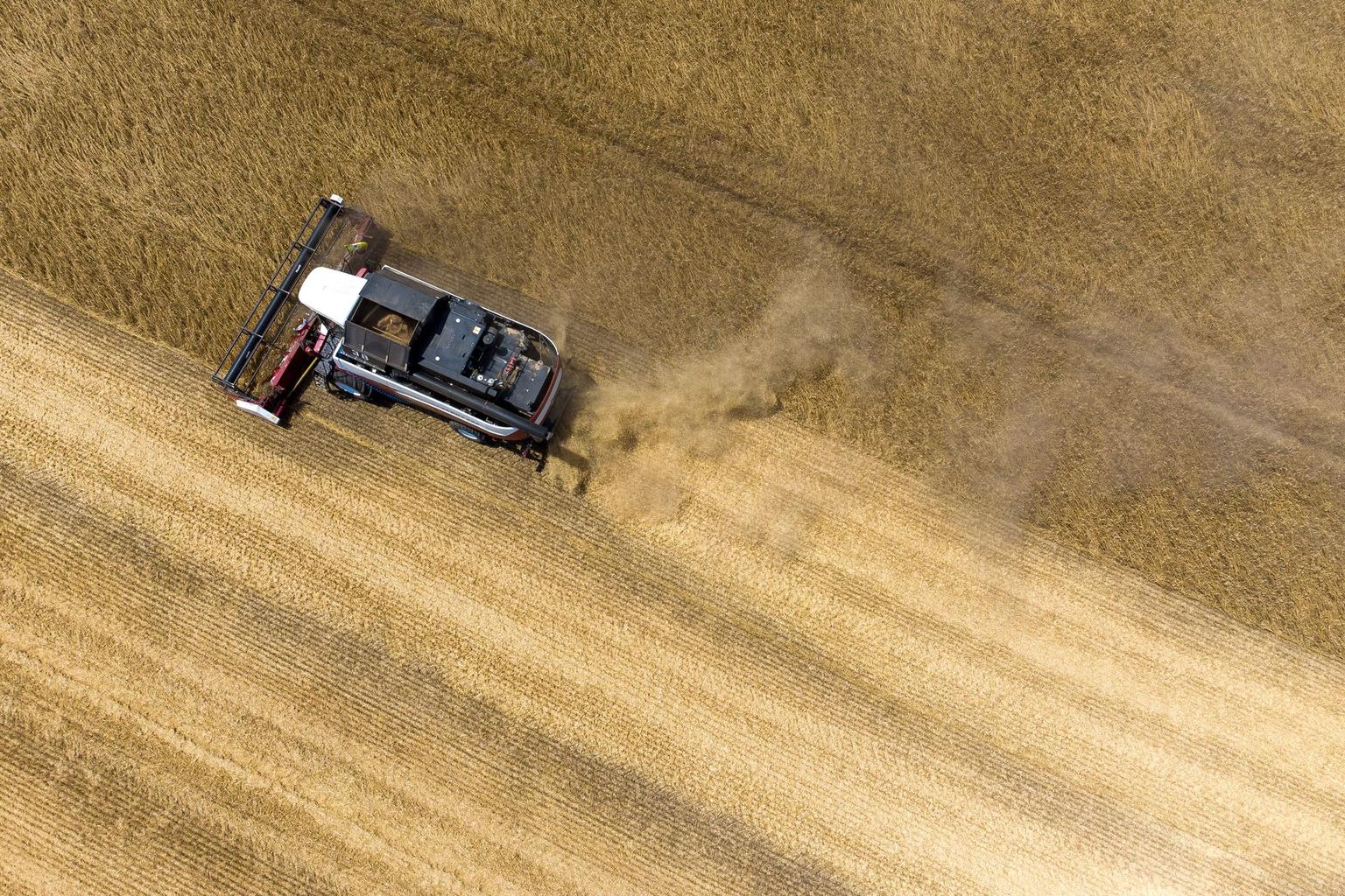 Reuters: Russia faces challenges in exporting its grain