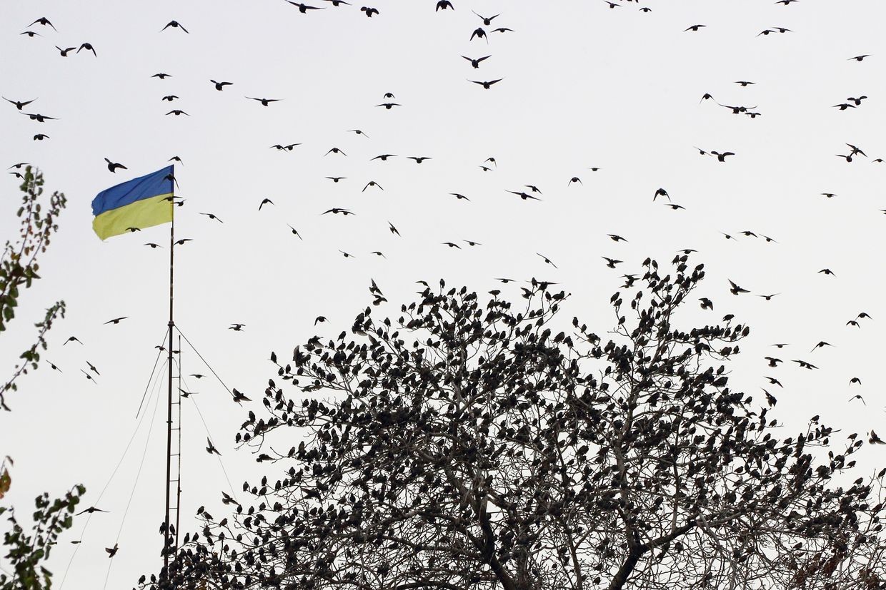 Eutelsat in talks to expand satellite services for Ukraine amid Starlink uncertainty, FT reports