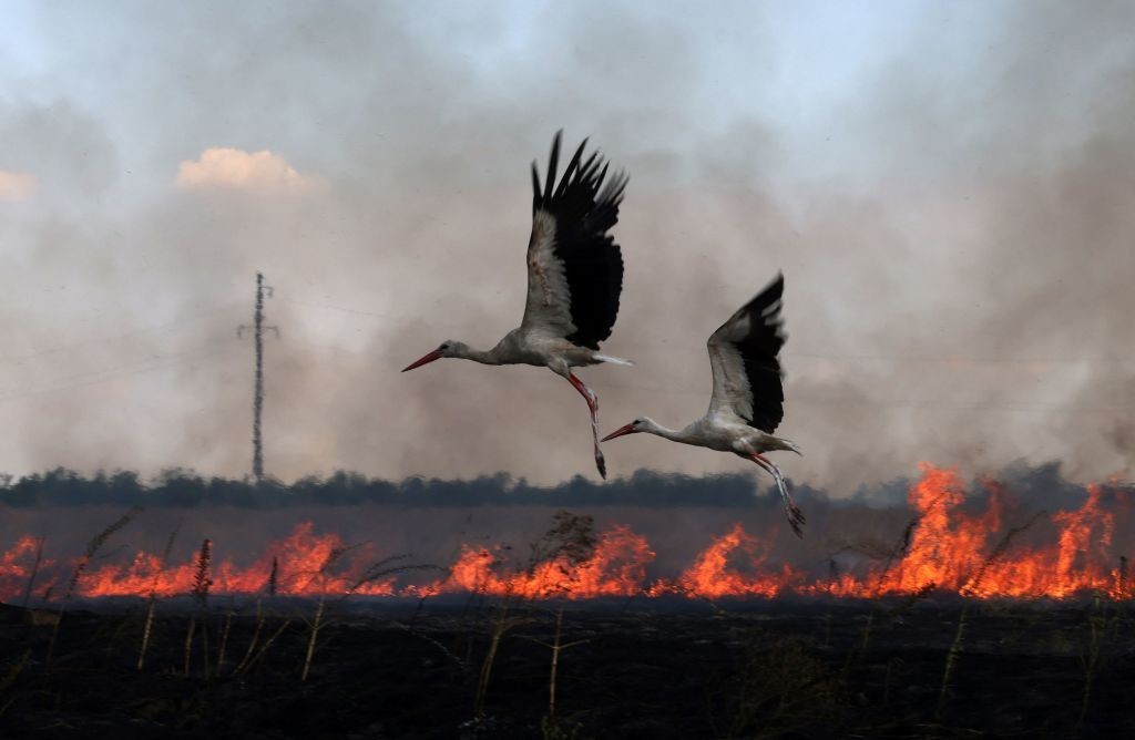 Opinion: Green recovery in Ukraine is a strategic imperative for the EU