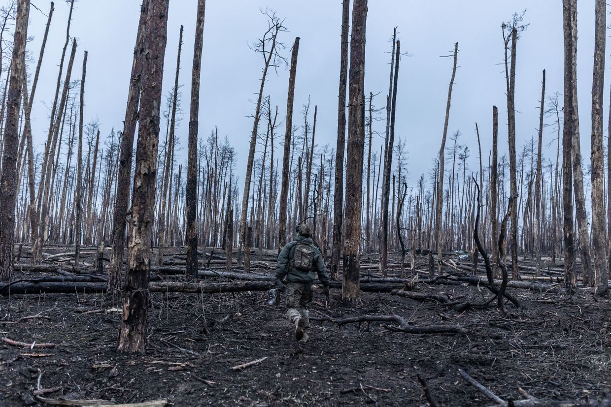 Media: Russia destroys over 60,000 hectares of Ukrainian forests