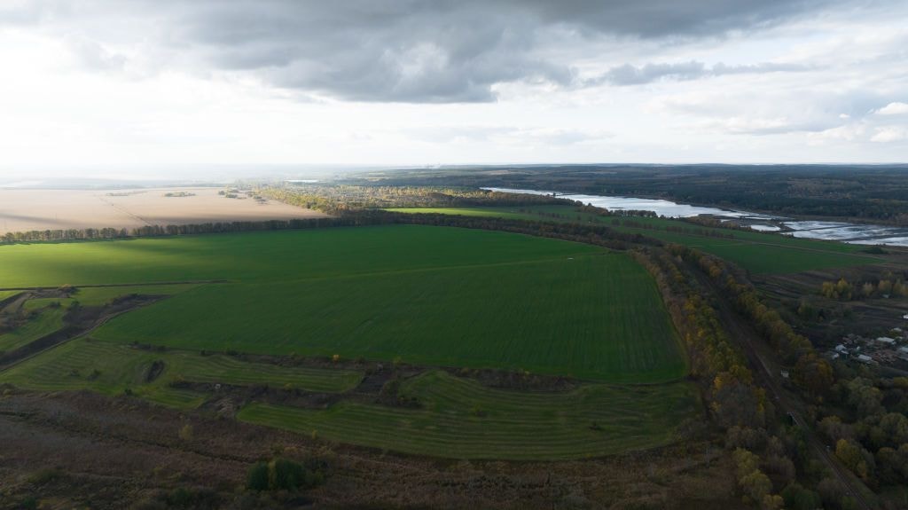 Agriculture Minister Solskyi accused of illegally appropriating more than $7 million in state-owned land