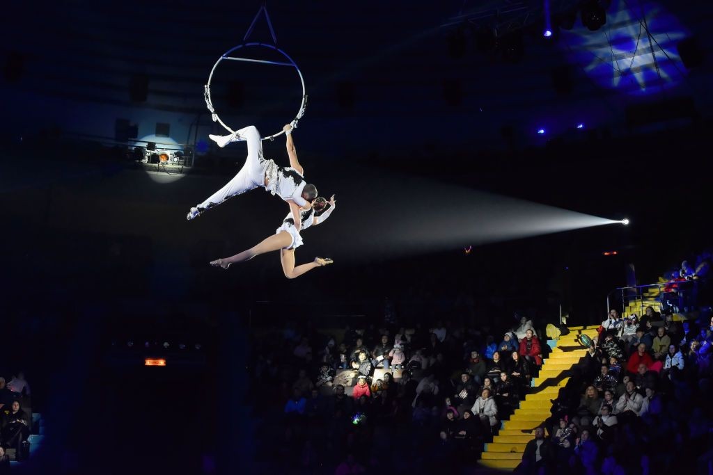 Ukraine's circuses, TV channels recognized as 'critically important' companies, allowing employees to defer military service