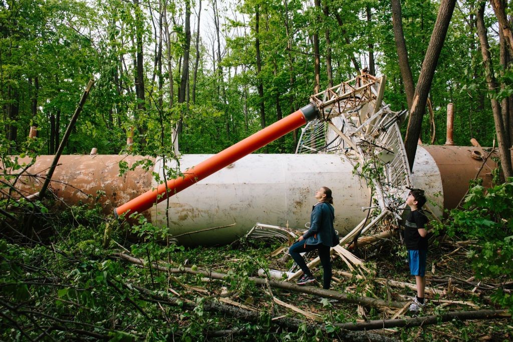 Czechia provides Ukraine over $800,000 for forestry development