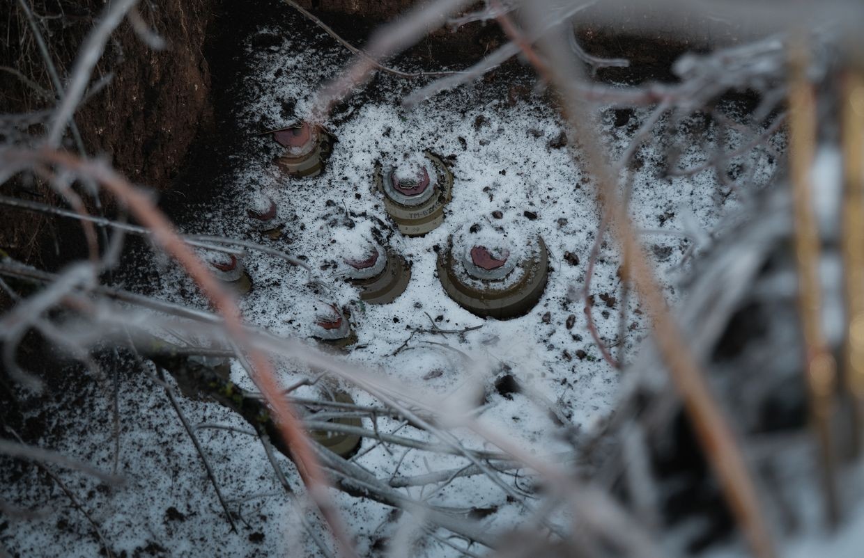 Lithuanian parliament backs denunciation of anti-personnel mine ban convention