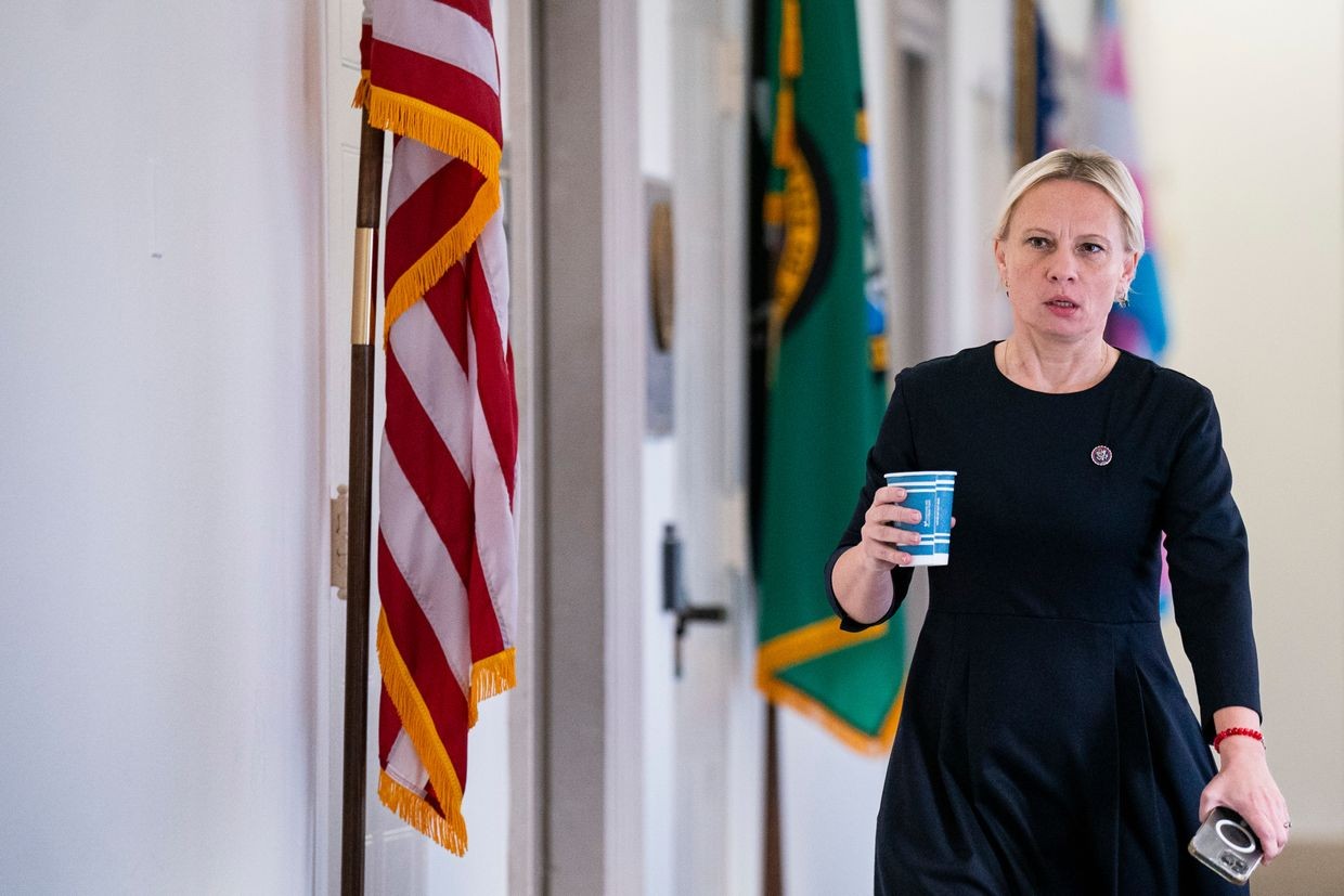 Kyiv responds to Ukrainian-born US lawmaker's controversial comments on Zelensky, occupied territories