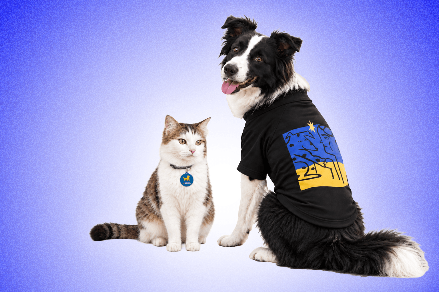 Items from the Kyiv Independent charitable merchandize Companion Collection 🐾 