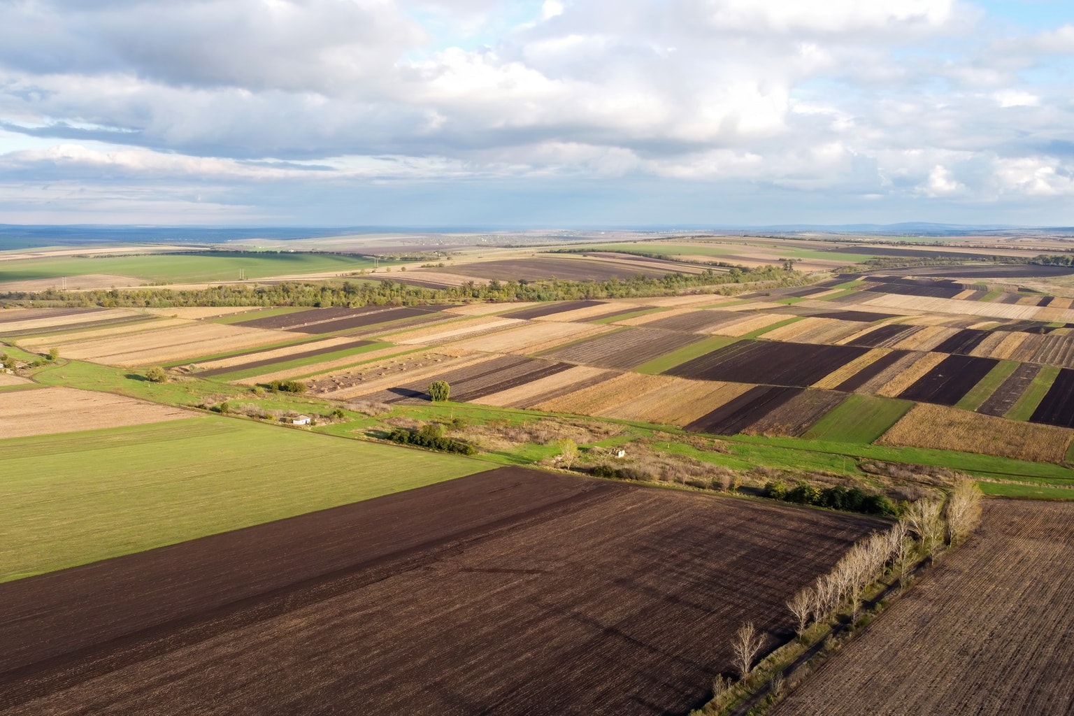 Ukraine land sales reach $200 million six months after launch