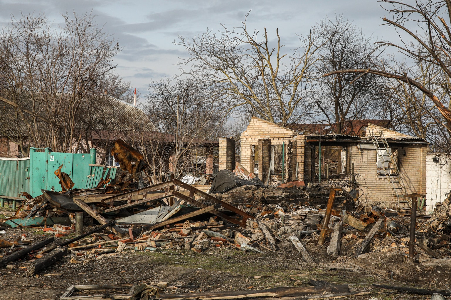 Lubomyr Luciuk: Russia's genocidal war against Ukraine and the grapes of wrath
