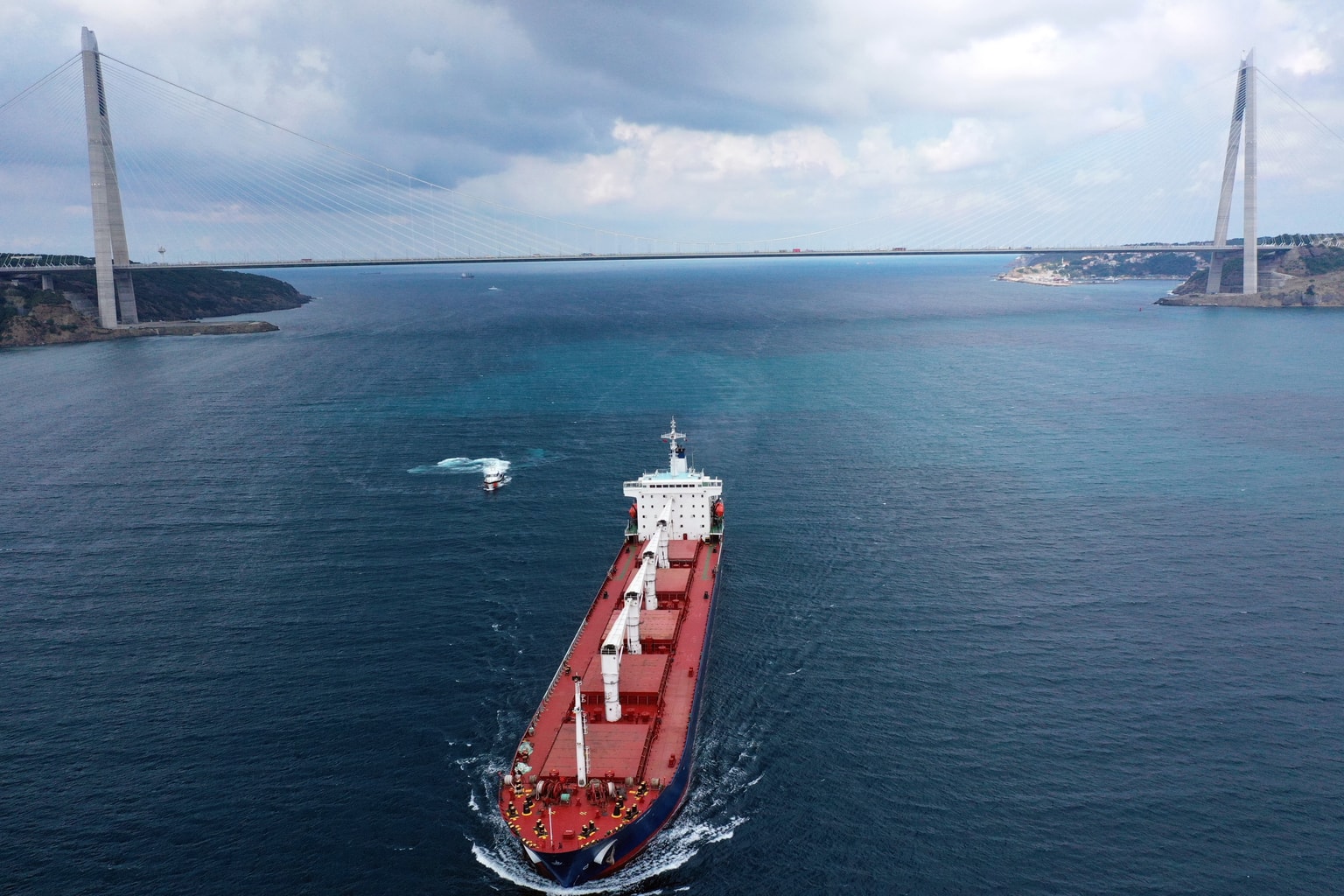 Ukrainian grain freed as first ship crosses Black Sea