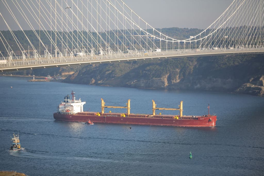 Minister: Ukraine's grain exports won't reach 3 million tons this month