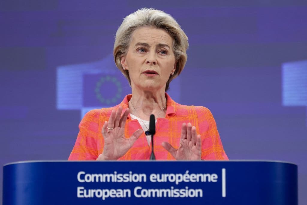 Von der Leyen focuses on Ukraine's EU reforms, defense cooperation in first call with new PM