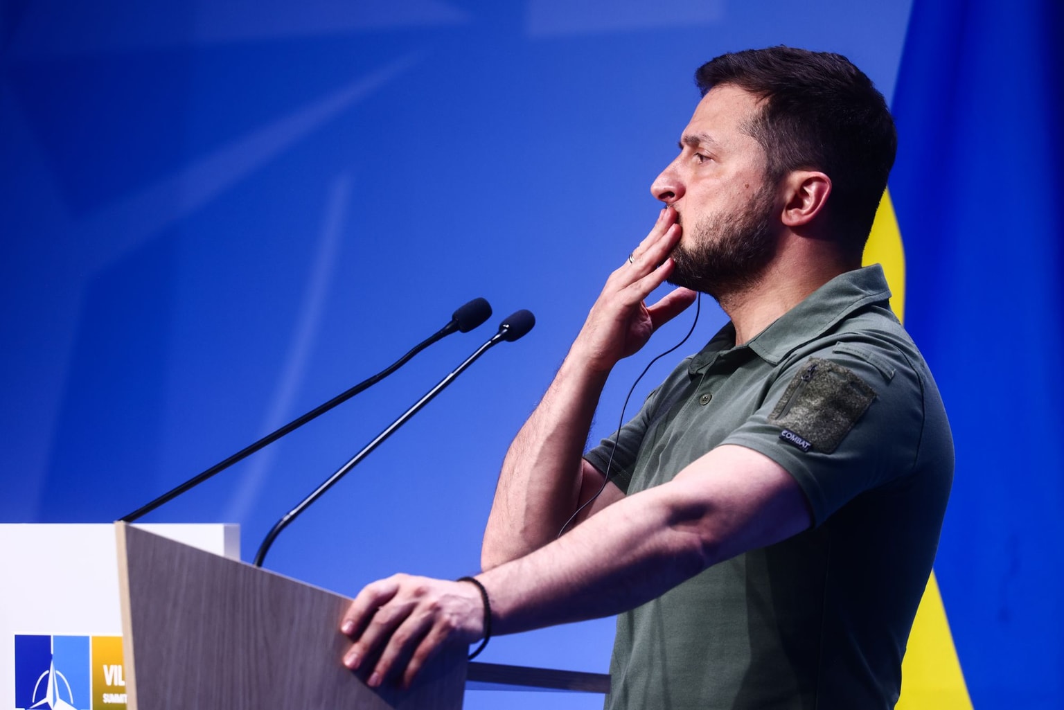 Ukraine gets a fraction of what it wanted at NATO summit
