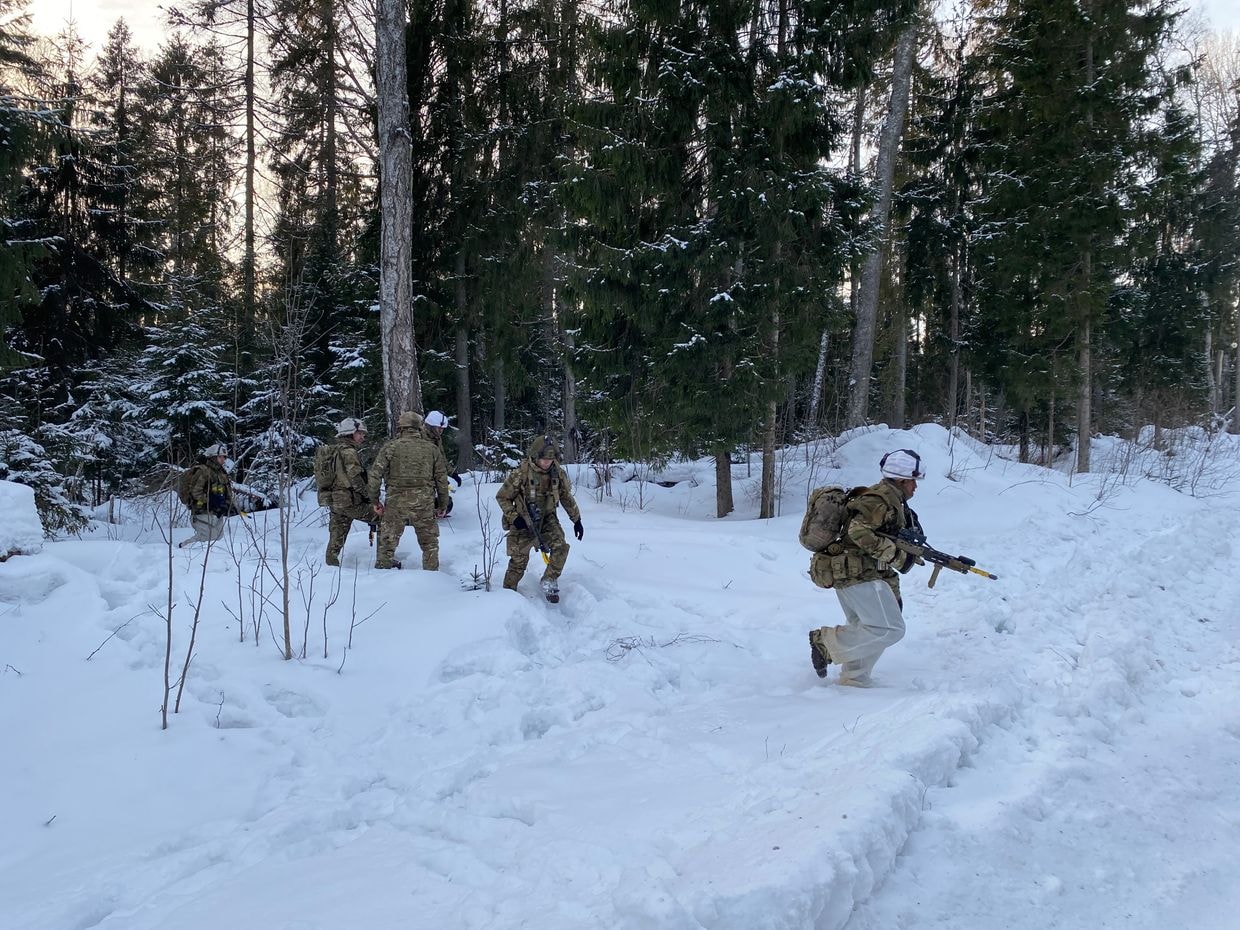 Estonian official says Tallinn ‘seriously’ discussing sending troops to Ukraine for non-combat roles