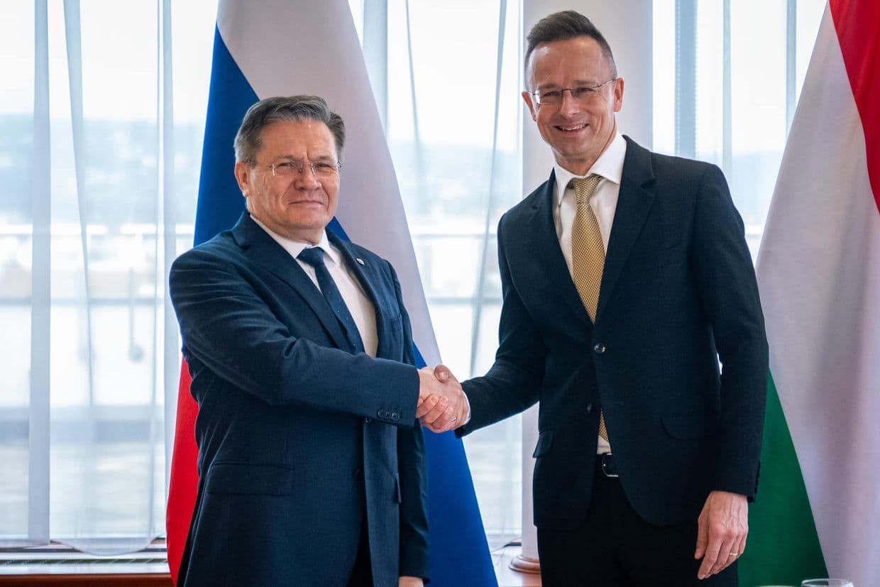 Hungary hosts Rosatom head on 25th anniversary of NATO accession