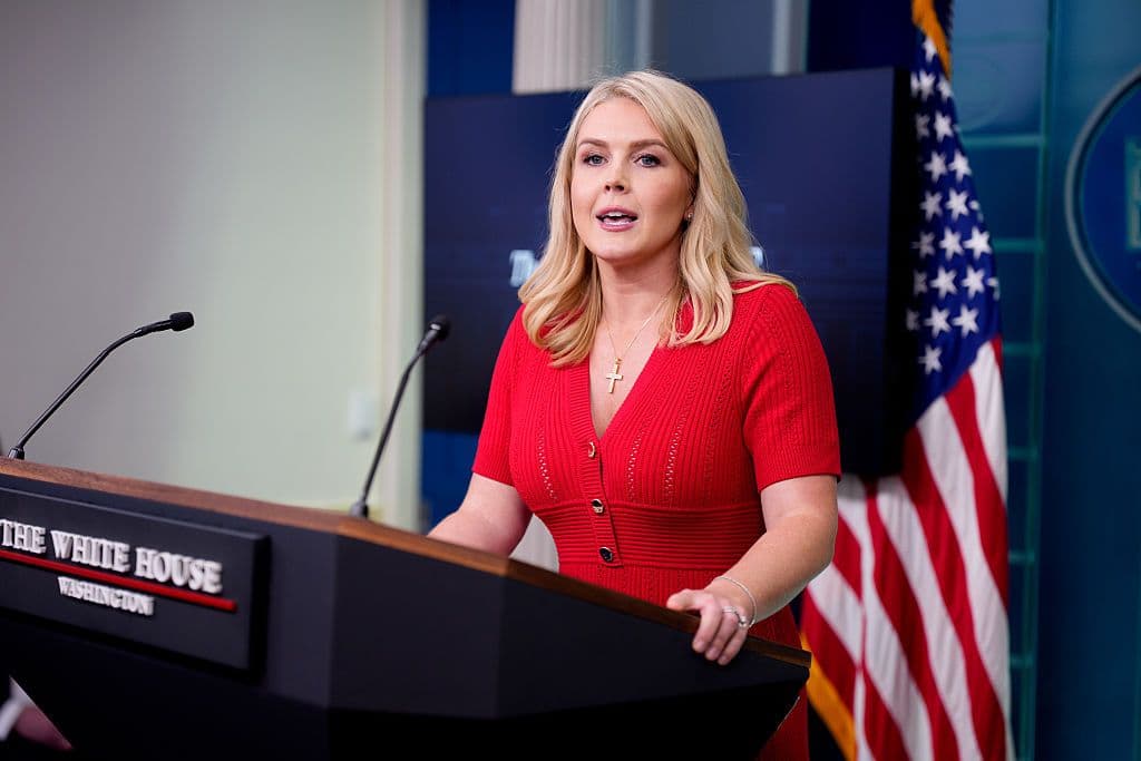 Trump hopes next Russia-Ukraine talks will 'move ball forward,' White House says as Moscow further delays peace memo