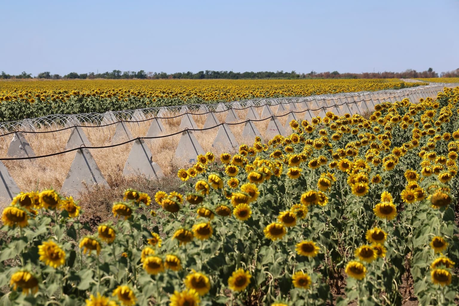 France, Poland, Spain, do not see agriculture as blocking further EU progress for Ukraine