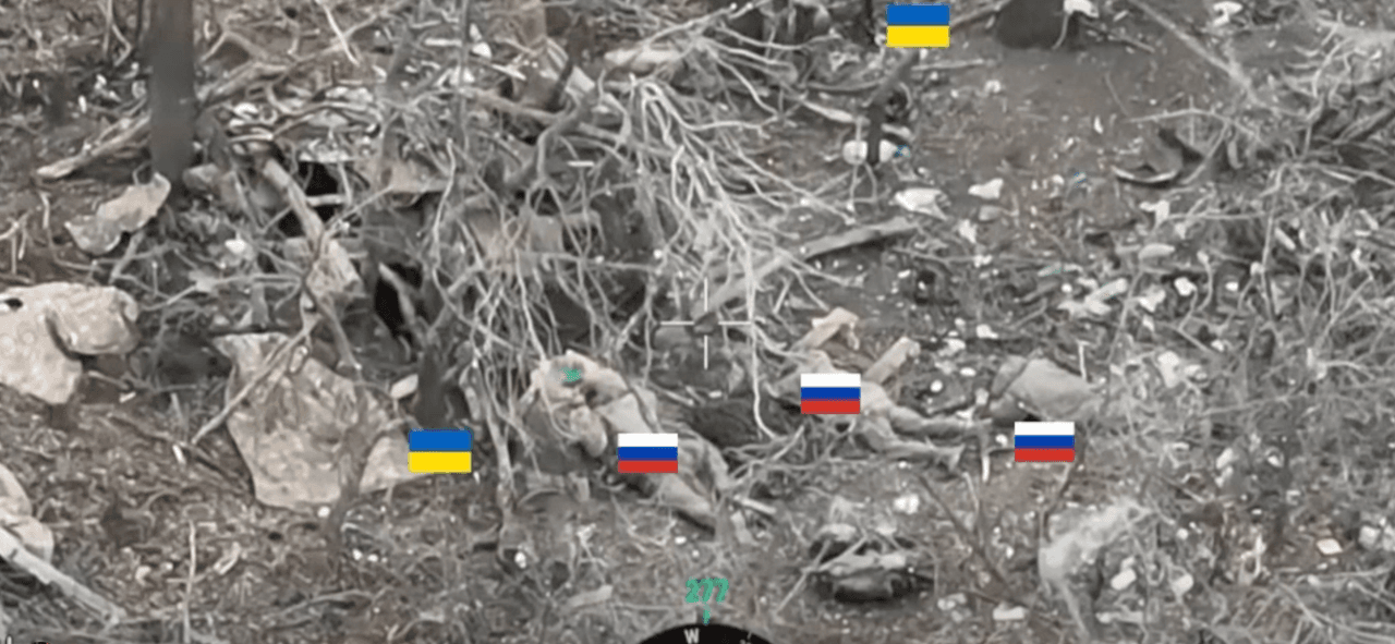 Ukraine war latest live: 2 Ukrainian soldiers capture 6 Russian troops in Oleksandrivka sector, video released