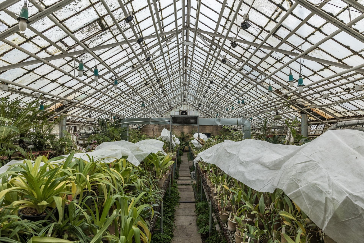 A view of a greenhouse housing collectible plants at the Kyiv National Botanical Garden in Kyiv, Ukraine, on Jan. 30, 2026.