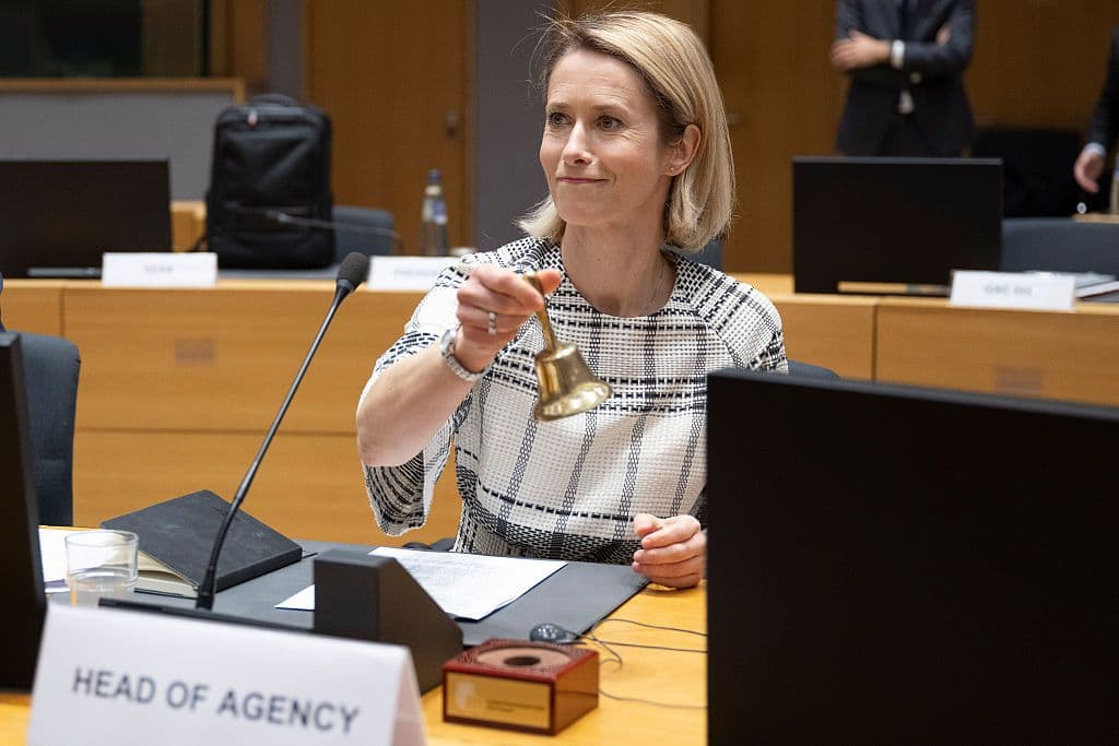 Exclusive: How US ambassador's preplanned trip caused a diplomatic scandal in Kyiv and Brussels