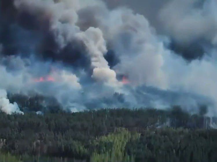 'Emergency situation' — Ukrainian firefighters unable to extinguish massive forest fire due to Russian FPV drone threat