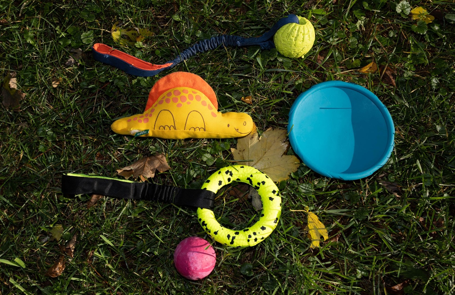 Fasolia's favorite toys photographed in Kyiv, Ukraine, on Oct. 12, 2025.