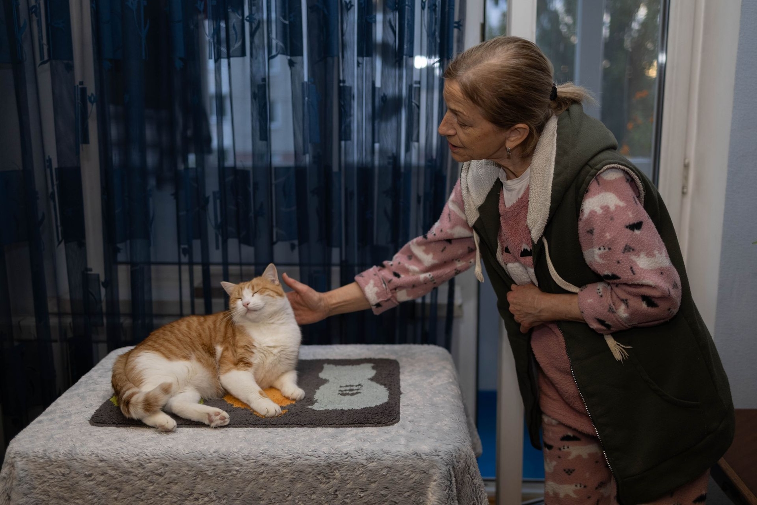 Multik, a cat from Kostiantynivka, Donetsk Oblast, with his owner Natalia Ostrovska in Kyiv, Ukraine, on Oct. 27, 2025.