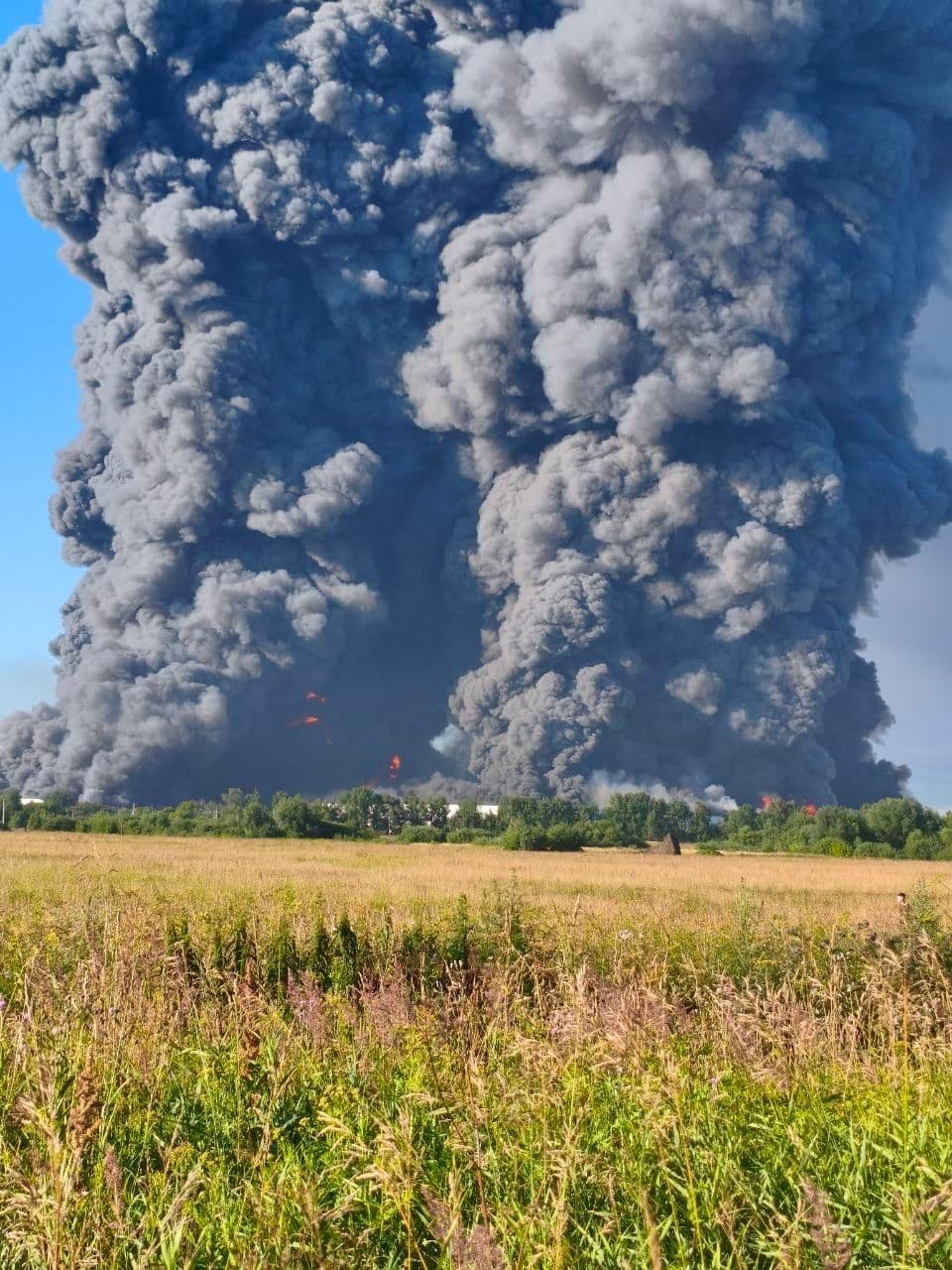 Letting Russia burn