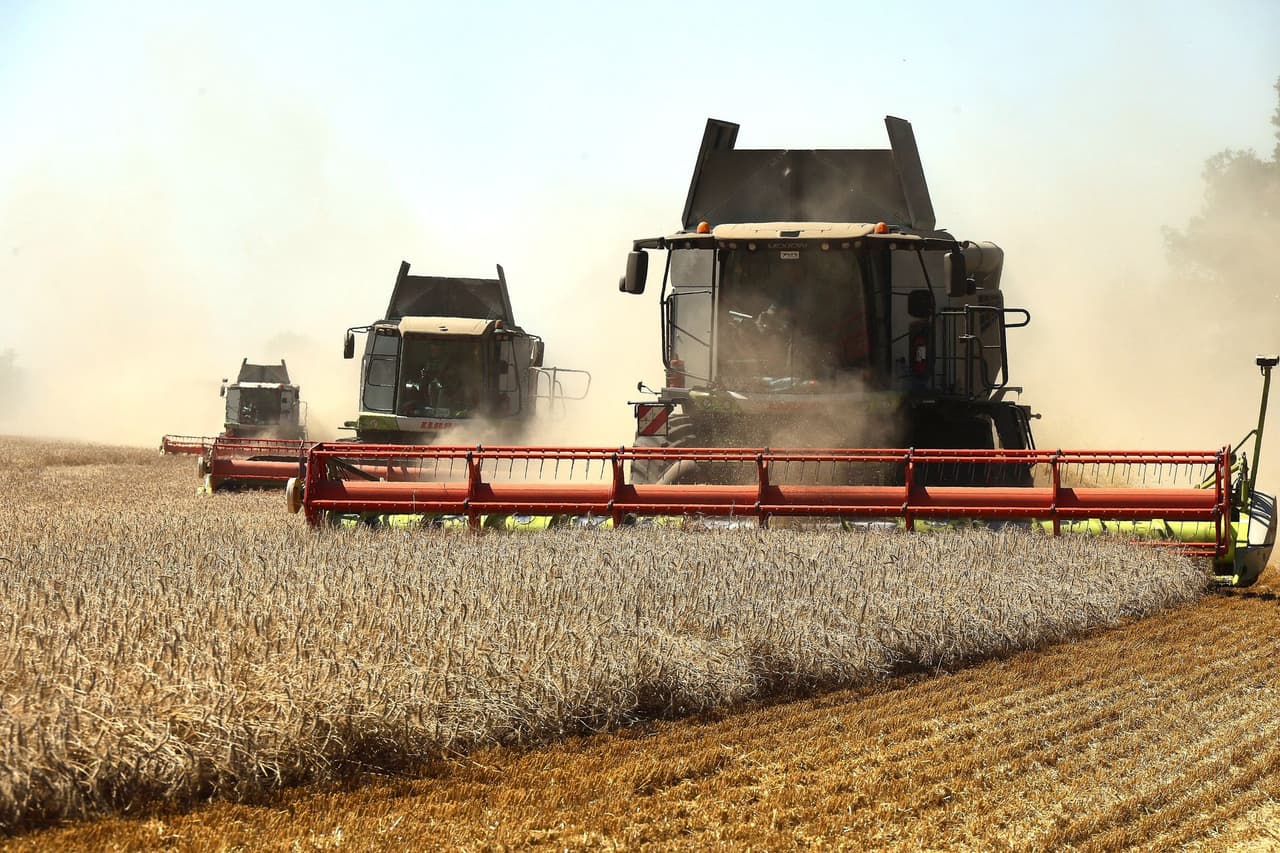 Global grain prices rise as Russia-Ukraine war escalates in Black Sea