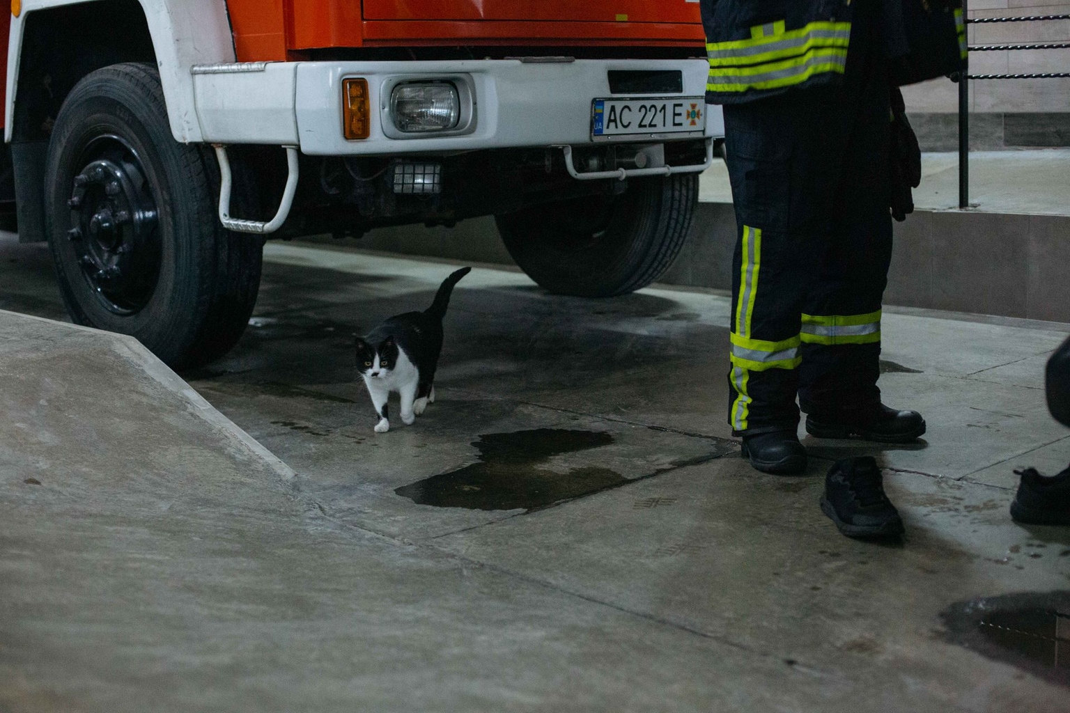 A cat rests in a fire station in Lutsk, Volyn Oblast, Ukraine, on Oct. 22, 2026.