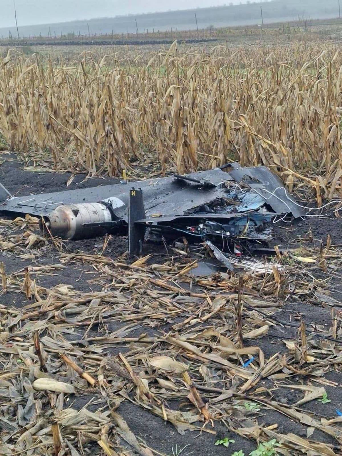 Moldova expels Russian diplomat after Russian Geran drone falls near family homes