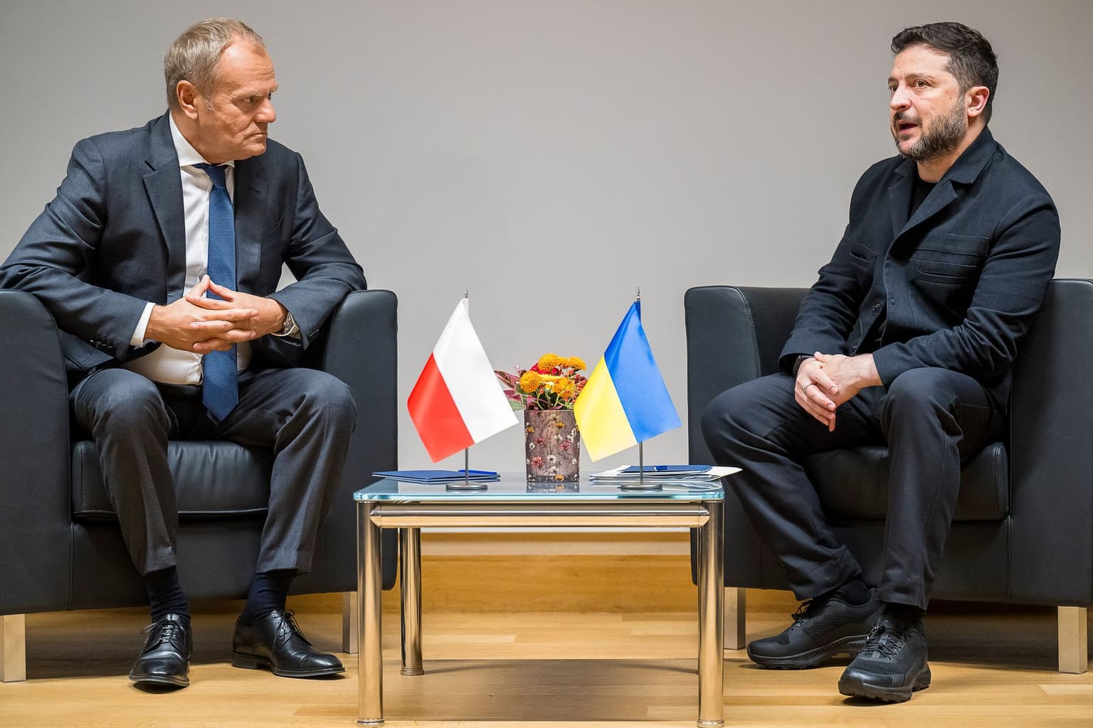 Poland provided aid to defend Kyiv, Zelensky says