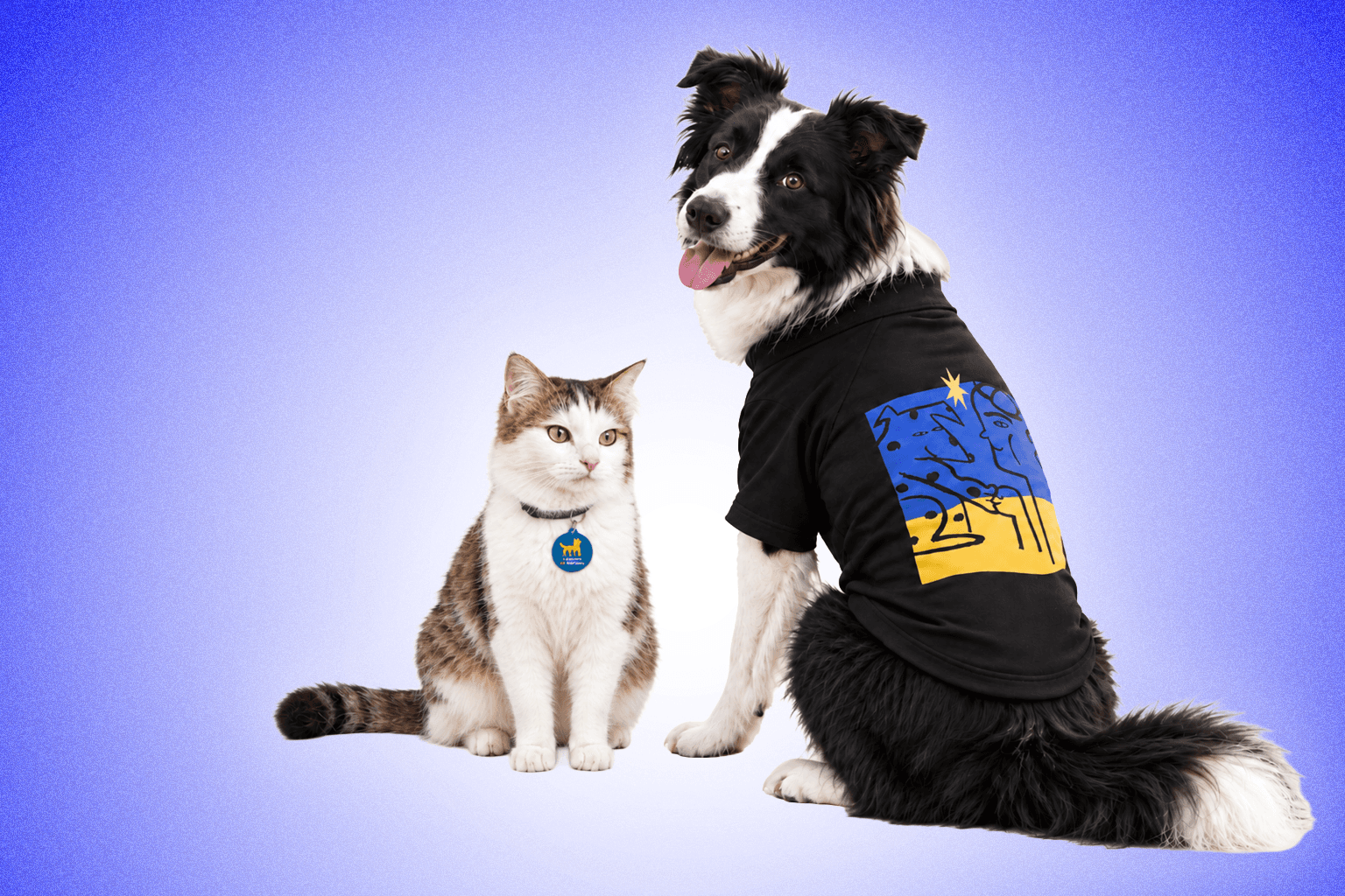 Items from the Kyiv Independent charitable merchandize Companion Collection š¾