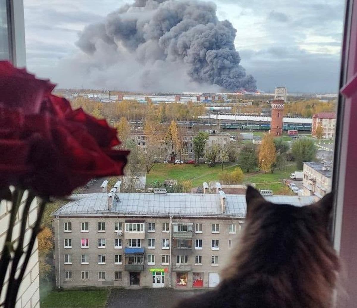 Ukraine war latest: St. Petersburg slammed by drones in mass Ukrainian attack