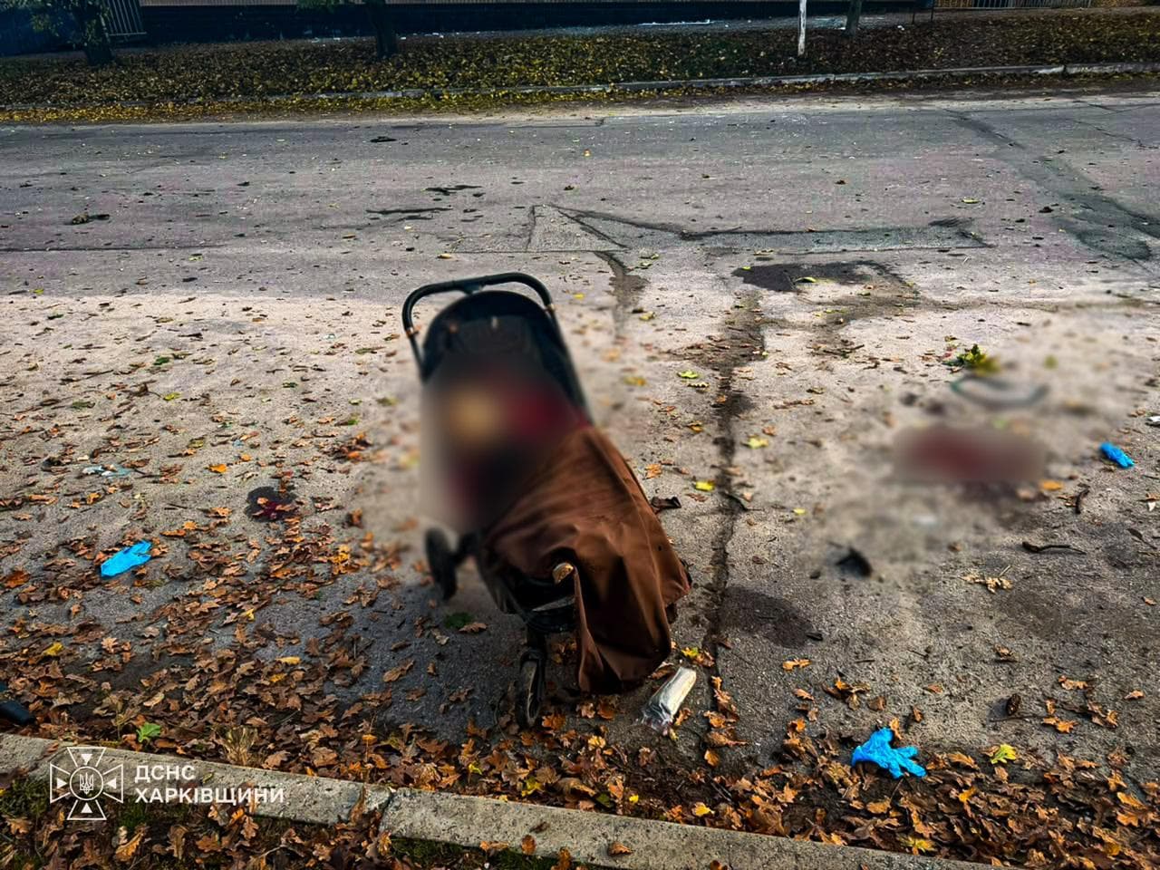 Russian drone strike on park in Kharkiv Oblast kills children and infant