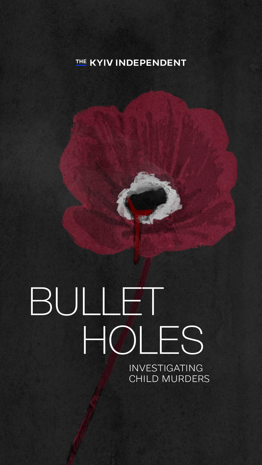 Bullet Holes Poster