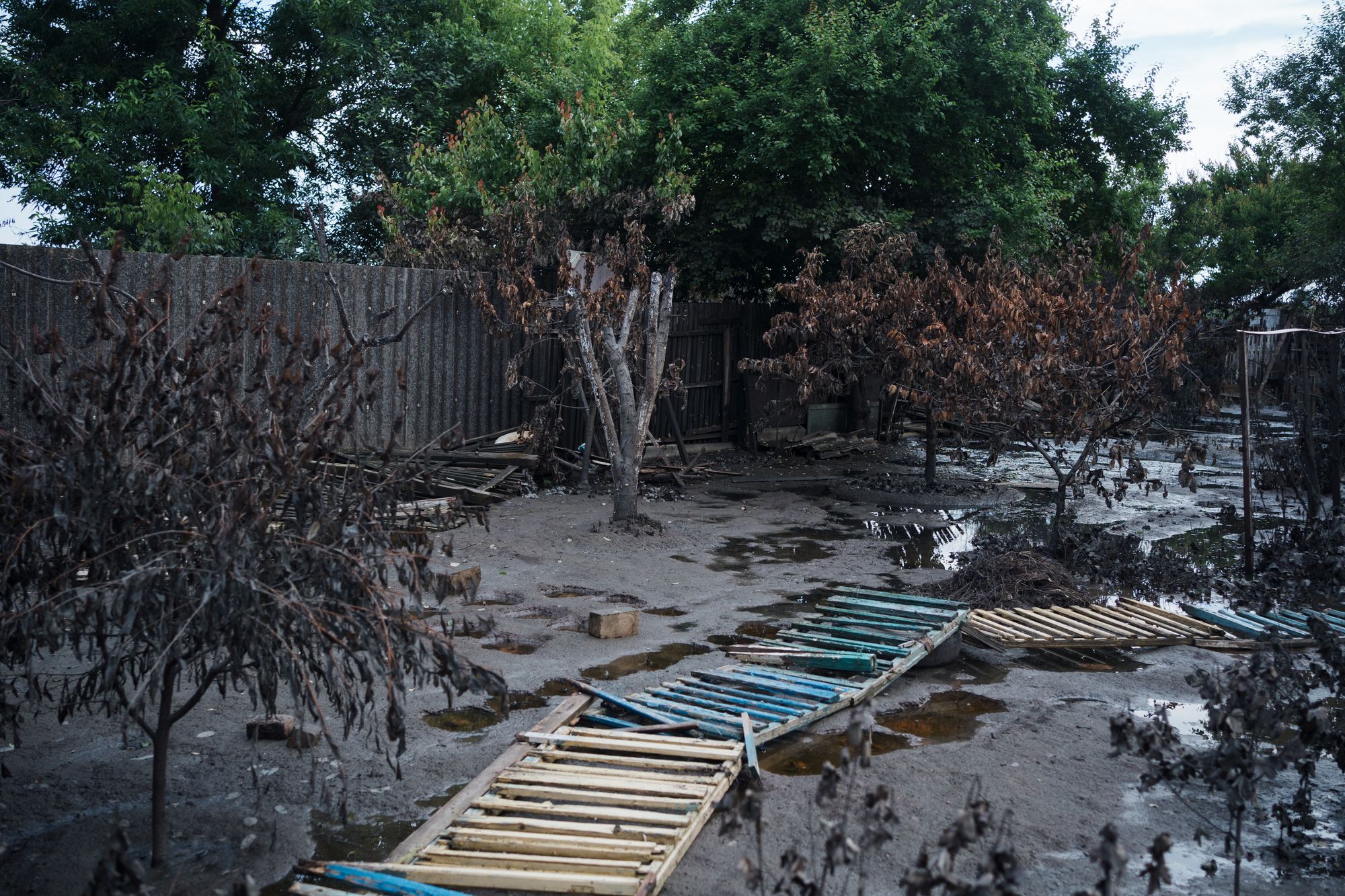 Hundiendo recuerdos. Los residentes de Kherson se recuperan después del desastre de la presa de Kakhovka (FOTOS)
