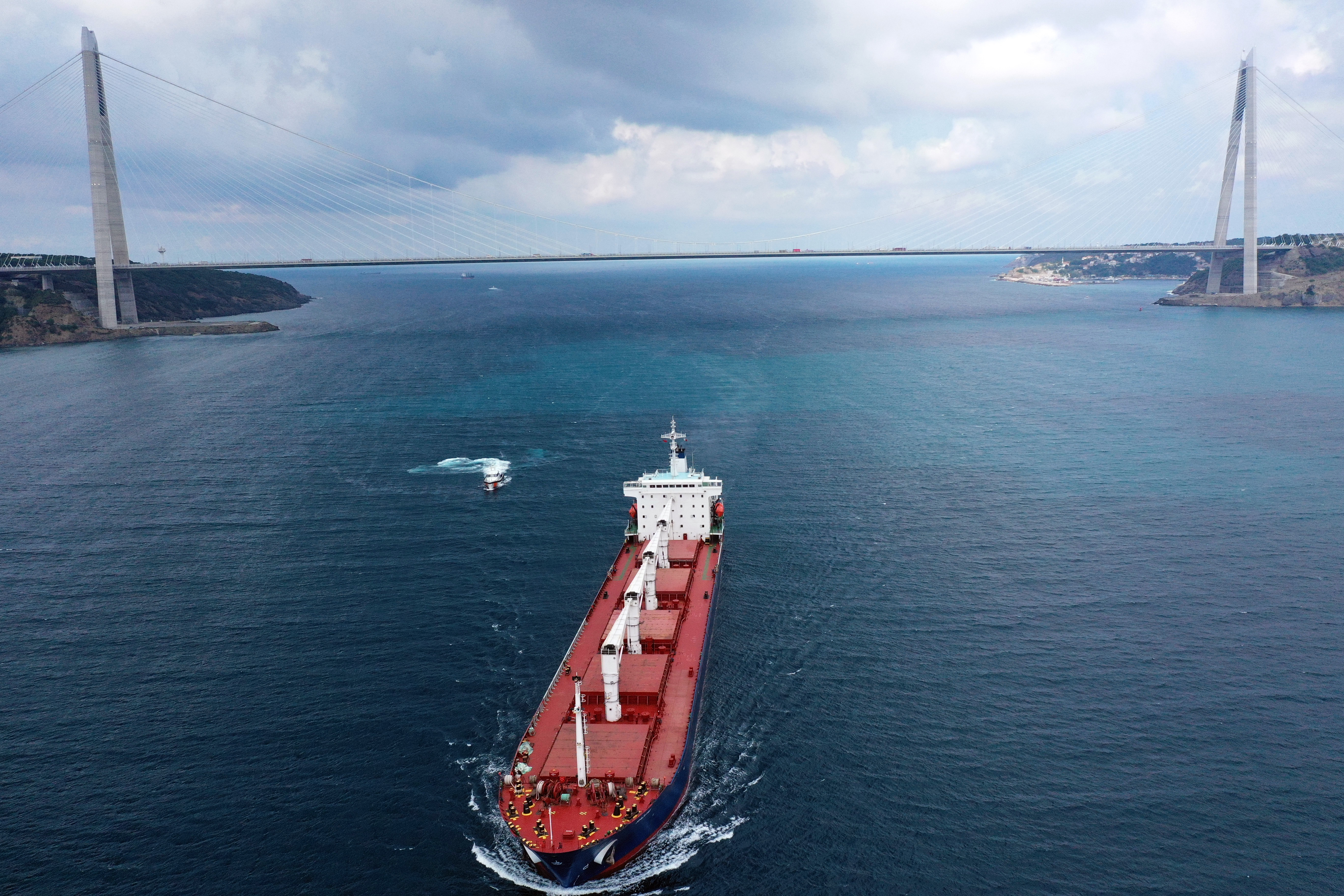 Ukrainian grain freed as first ship crosses Black Sea