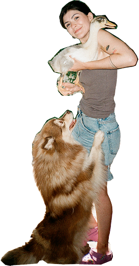 Mash with animals